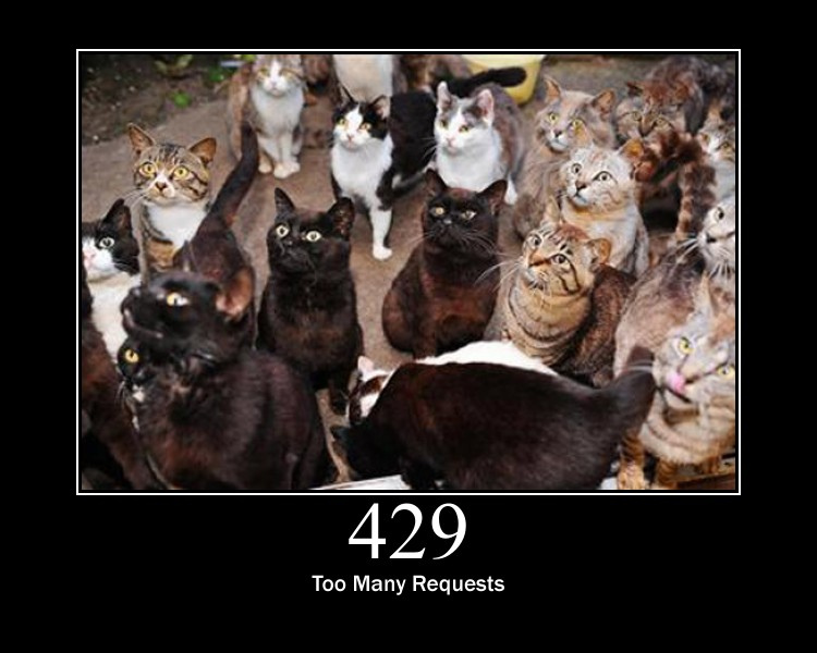 HTTP 429 Too Many Requests